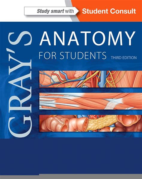 grey's anatomy for student